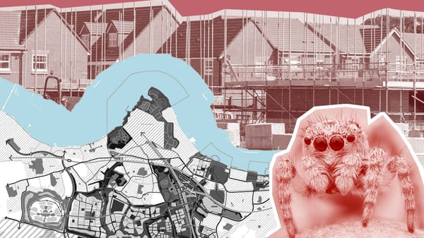 A town separated by spiders